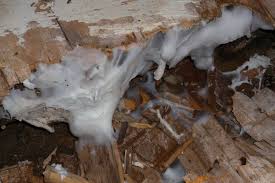 Merule_Cahiers techniques du batiment