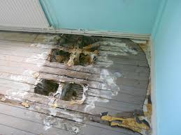 Merule_Nord humidite